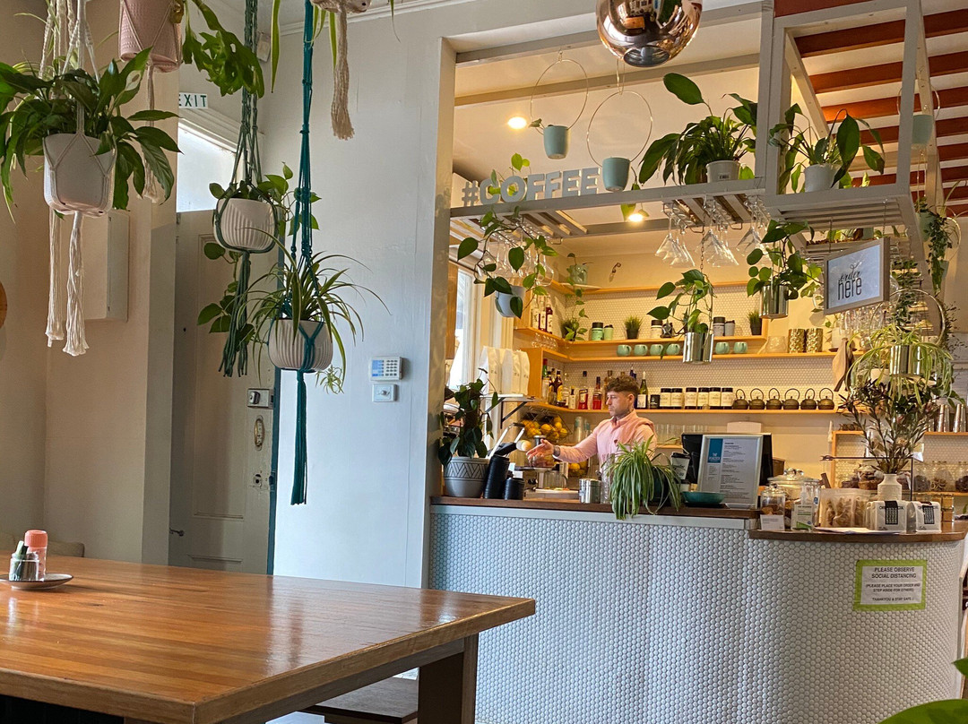 The Peacock South Yarra