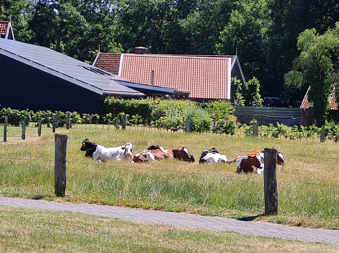 Camping Dal Van de Mosbeek
