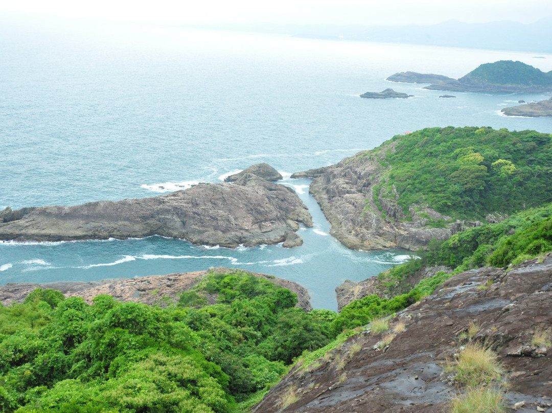 日向市旅游景点-Cruss Sea