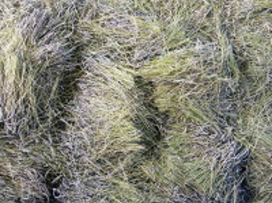 Lavanda di Maremma景点图片