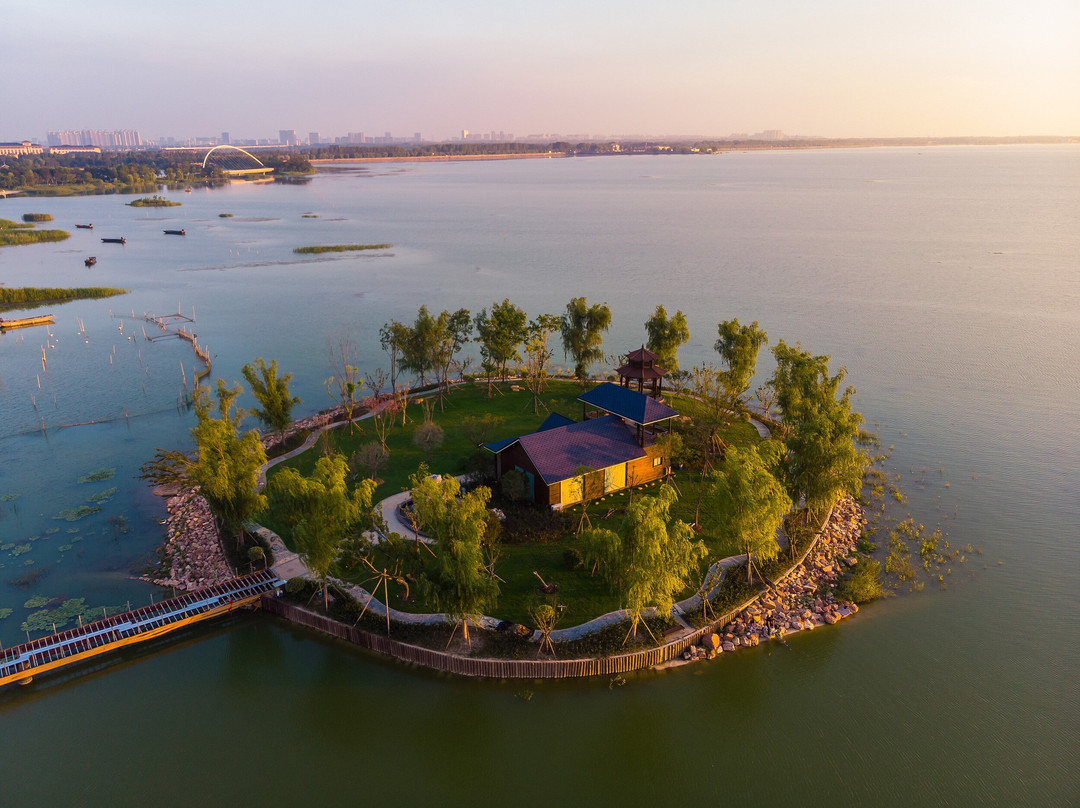 骆马湖湿地景点图片