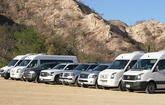 A One Cabo Deluxe Transportation-洛斯卡布斯必去景点
