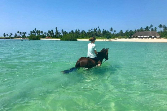 Tours, taxi service and safaris-桑给巴尔市必去景点