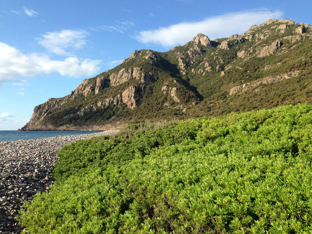 Camping Coccorrocci