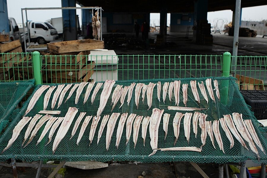 Hongwon Port-舒川郡必去景点