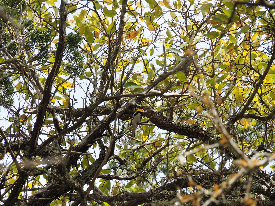 South Llano River State Park-Junction必去景点
