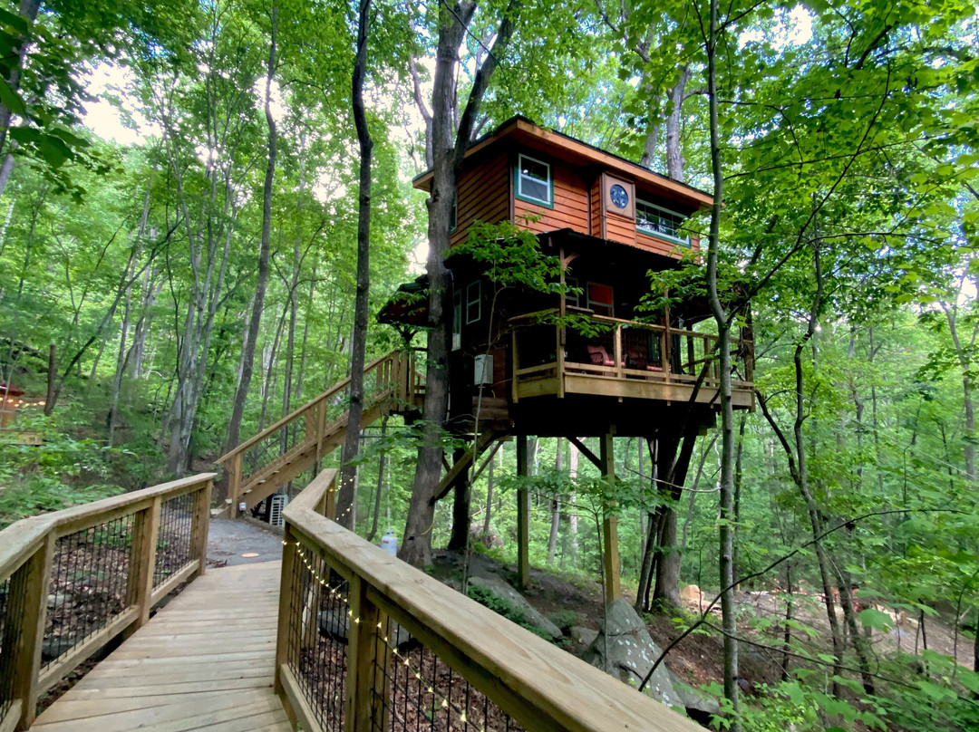 Treehouse Mountain