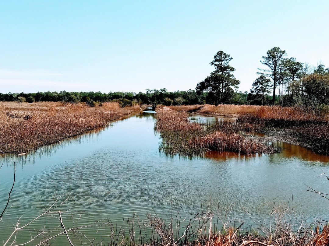 Santee Coastal Reserve景点图片