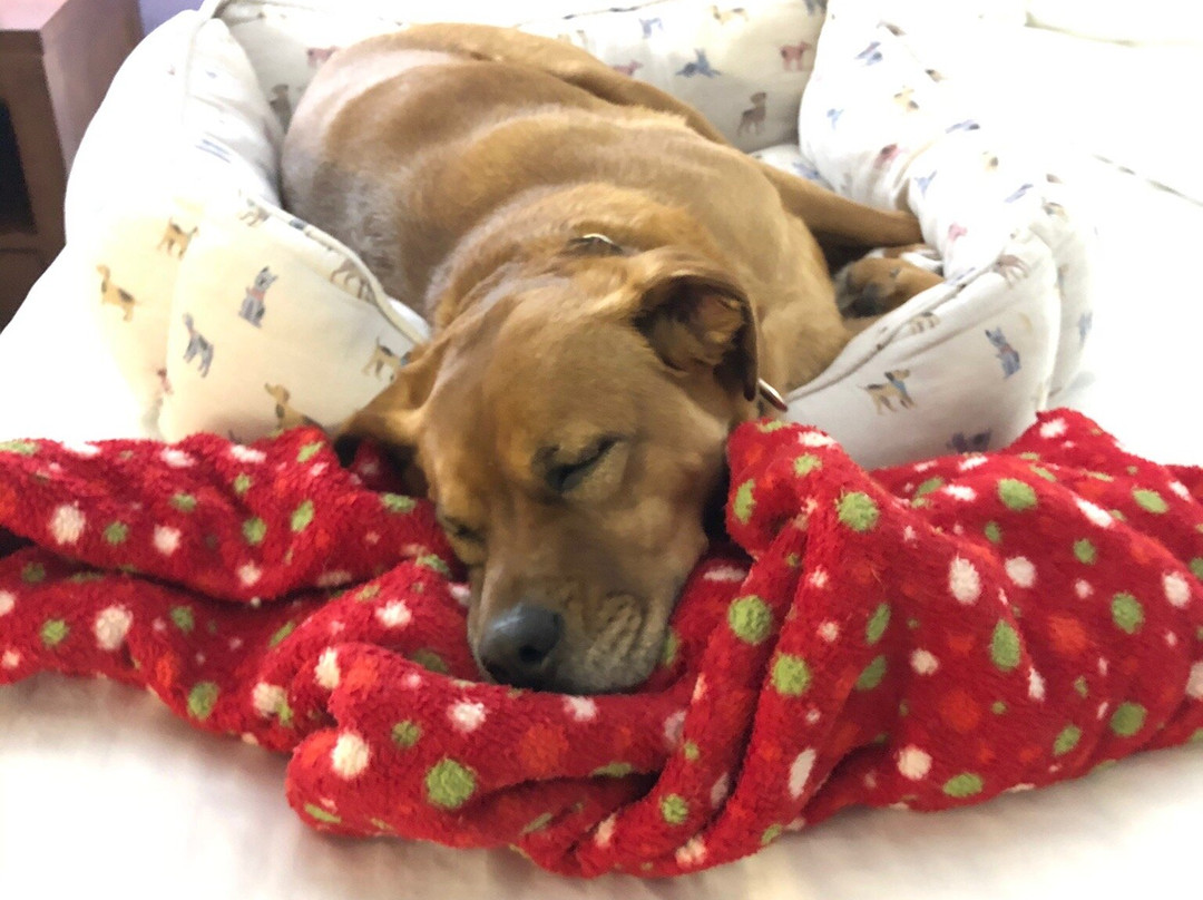 La Quinta Inn & Suites by Wyndham Elizabethtown主图