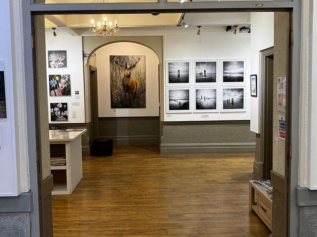 The Allman Gallery