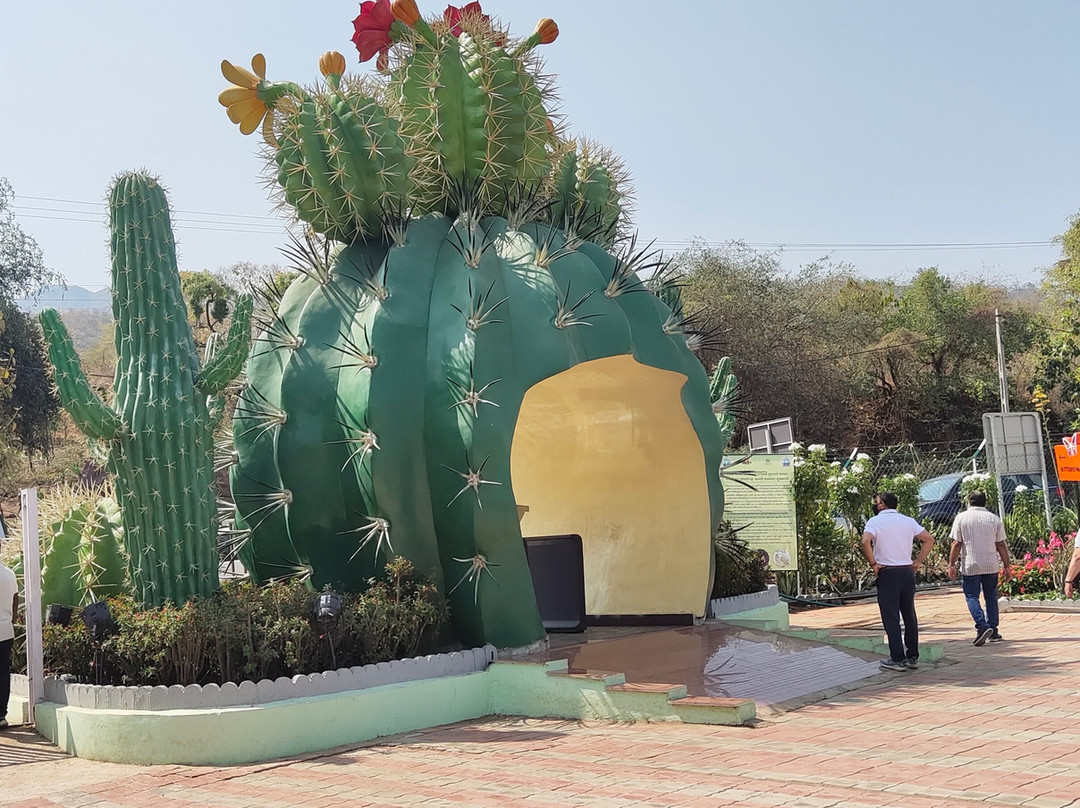 Cactus Garden-Kevadia必去景点