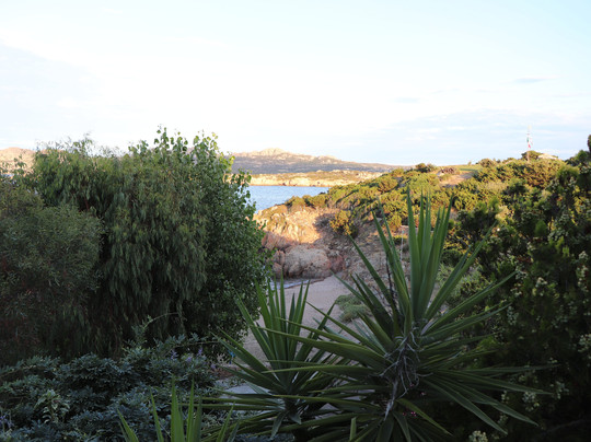 B&B Villa Olivia主图