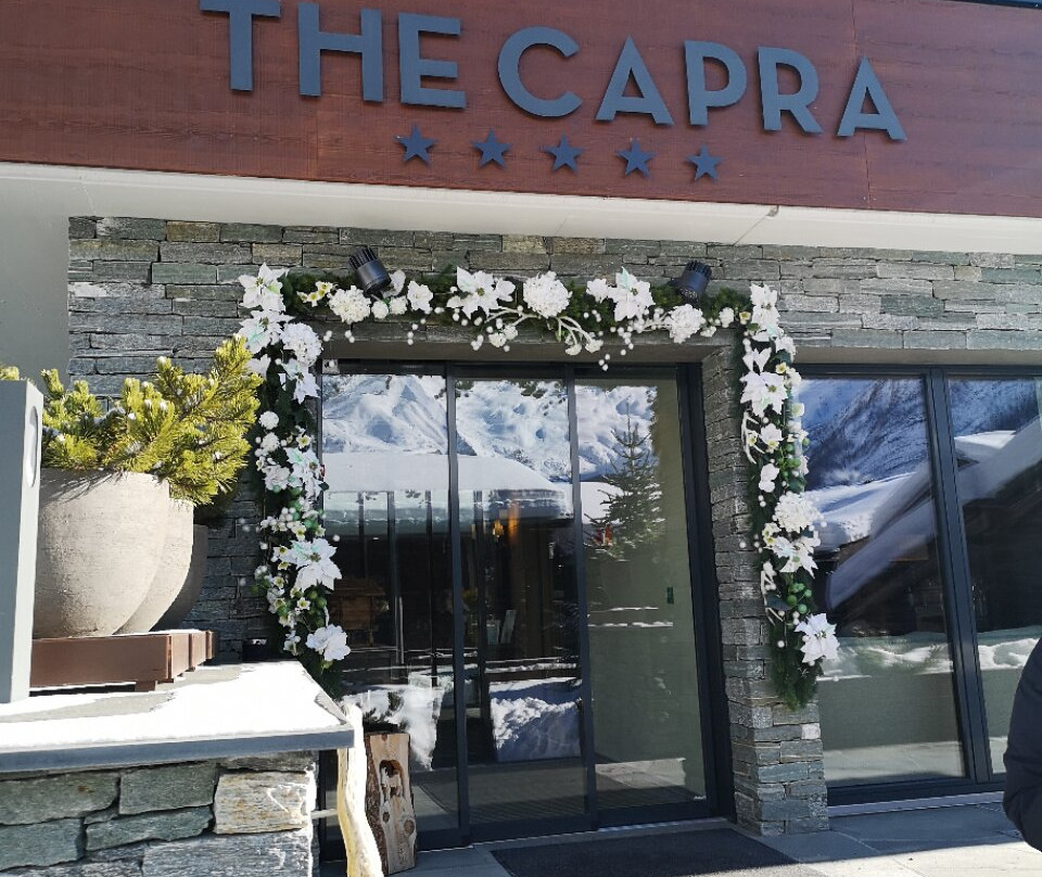 The Capra Hotel Saas-Fee主图