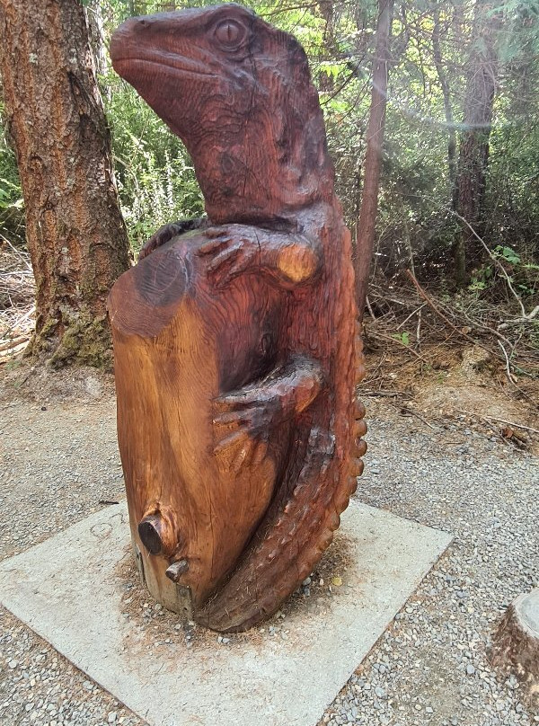 Hanmer Forest景点图片