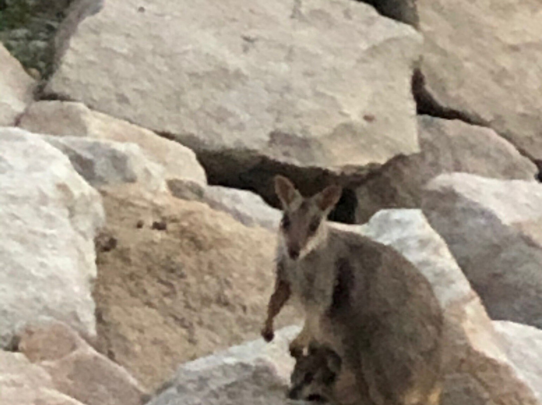 Gabul Way-Magnetic Island必去景点