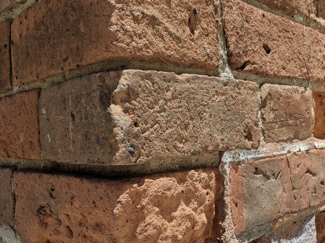 Catedral Basílica Metropolitana de Medellín-麦德林必去景点