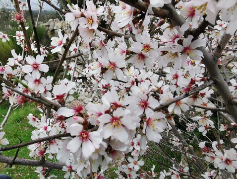 Calzada Romana-Galapagar必去景点