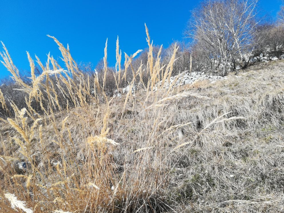Chiesa di San Bernardo景点图片