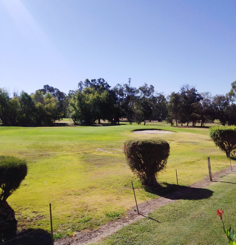 Tooleybuc Club Motor Inn主图