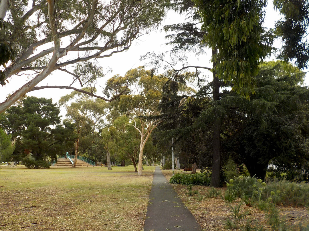 Victoria Park景点图片