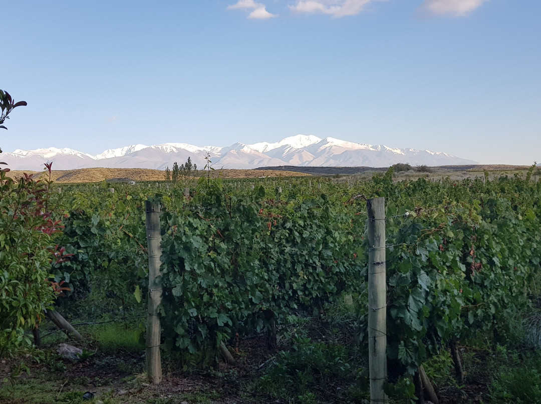 Auberge du Vin, a Tribute Portfolio Hotel, Tupungato主图