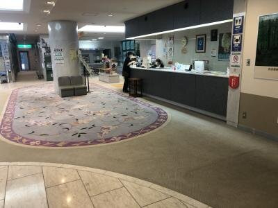 优多利亚藤里酒店主图