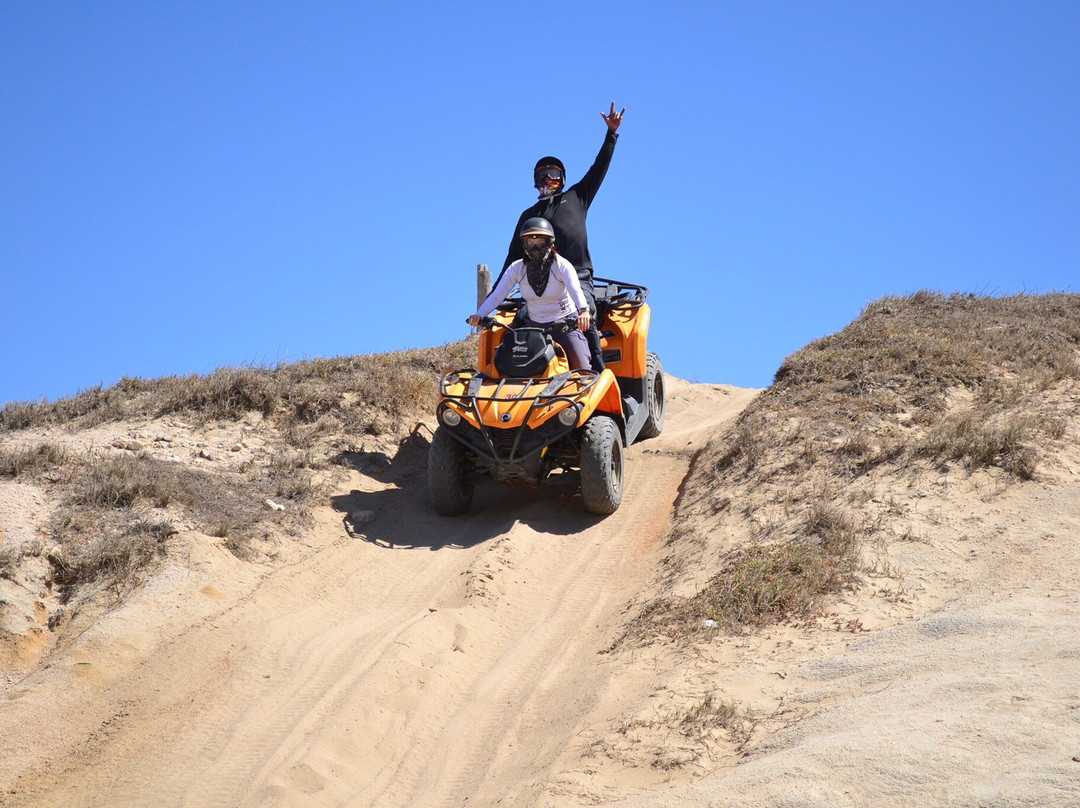 G-Force Adventures景点图片