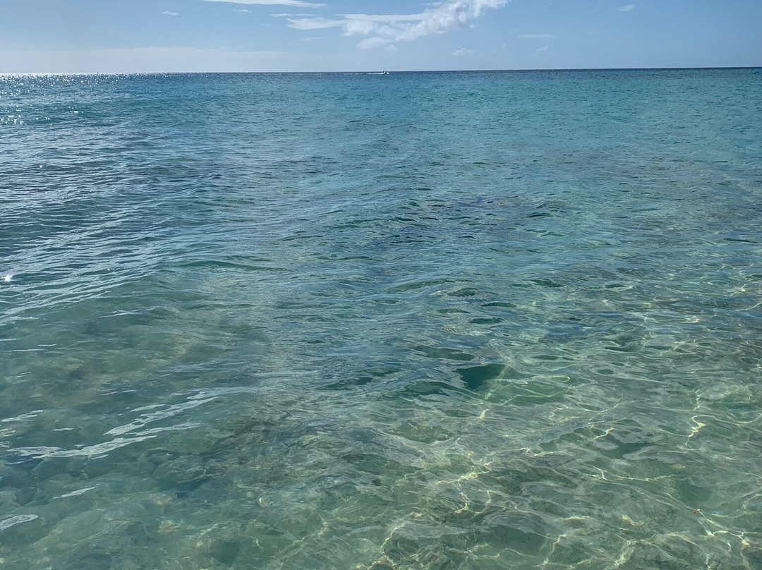 Rhythms at Rainbow Beach-Frederiksted必去景点