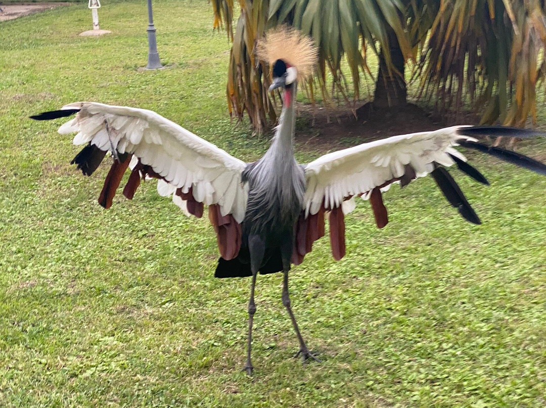 Hotel La Palmeraie主图