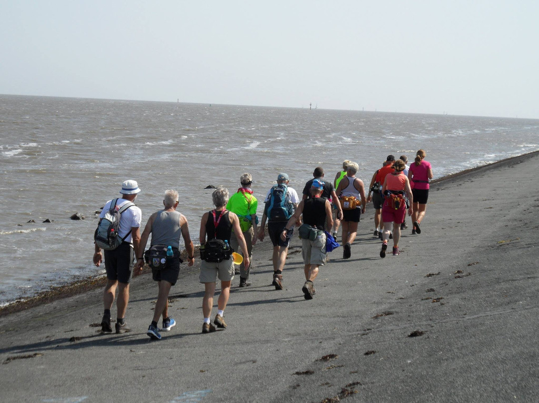 Stichting 40 Mijl-Lauwersoog必去景点