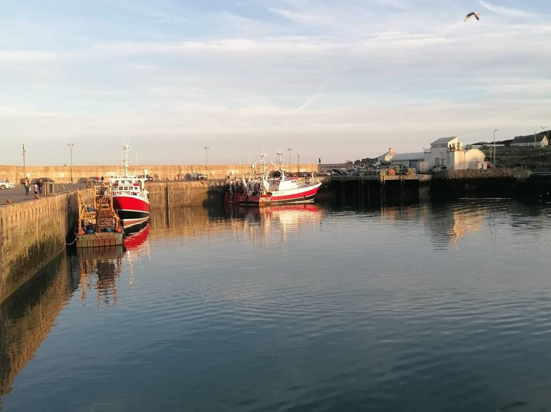 Port Oriel-Clogherhead必去景点