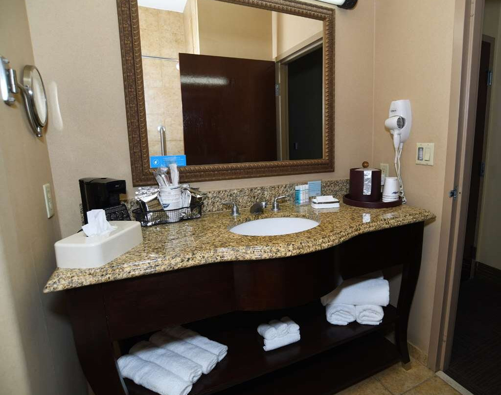 塞甘希尔顿恒庭酒店主图