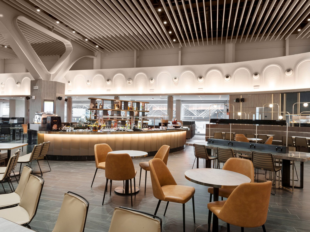 Plaza Premium Lounge (Extra Schengen Area, Departures, Terminal 3)景点图片