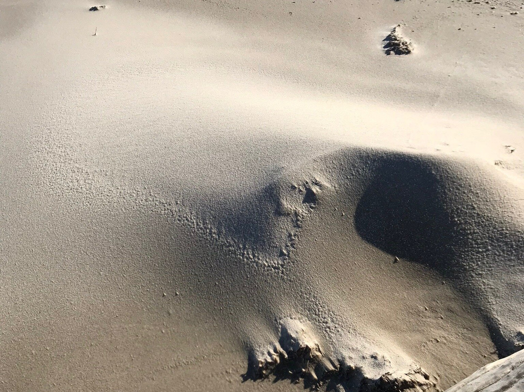 Grandview Nature Preserve-汉普顿必去景点