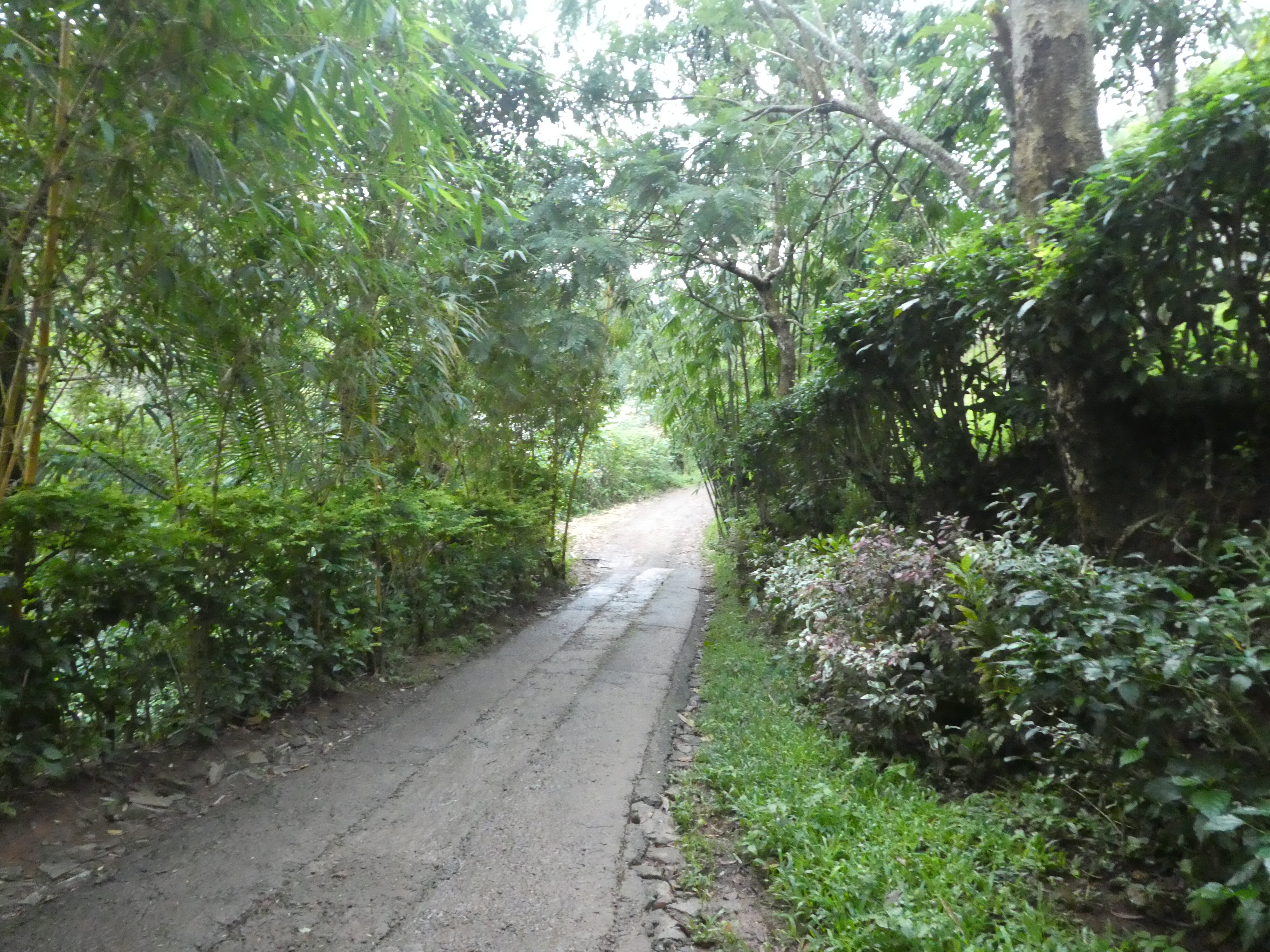 Niraamaya Retreats Cardamom Club, Thekkady-浴室