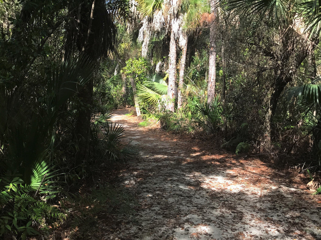 美洲狮国家野生动物保护区-Immokalee必去景点