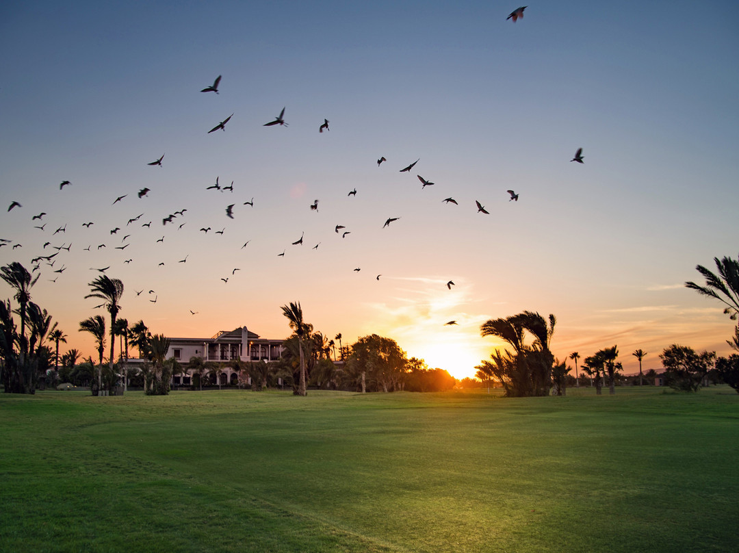 Golf Club Rotana Palmeraie主图