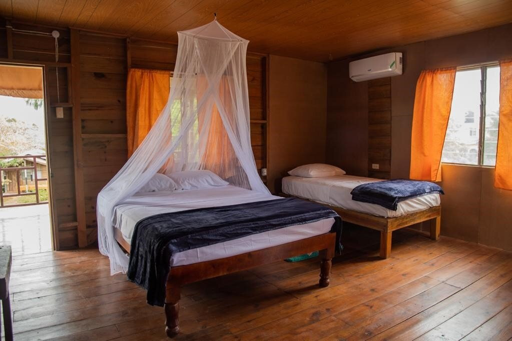 Diaspora Psychedelic Society-瑰宝滩必去景点