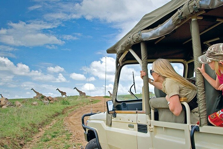 three peaks tanzania safari景点图片