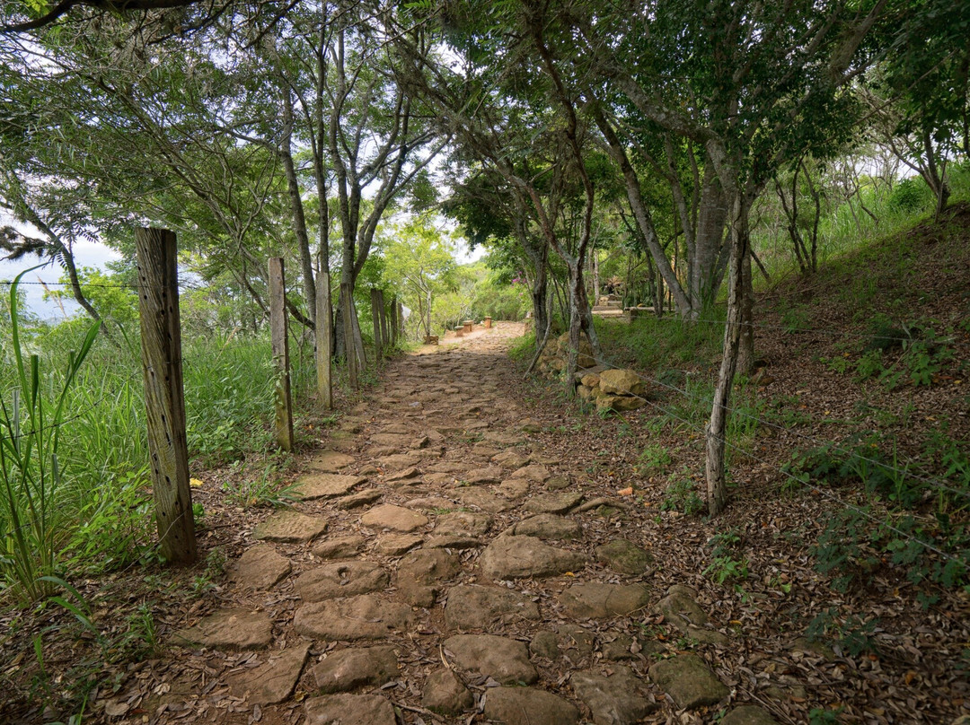 BnB Colombia Tours-布卡拉曼加必去景点