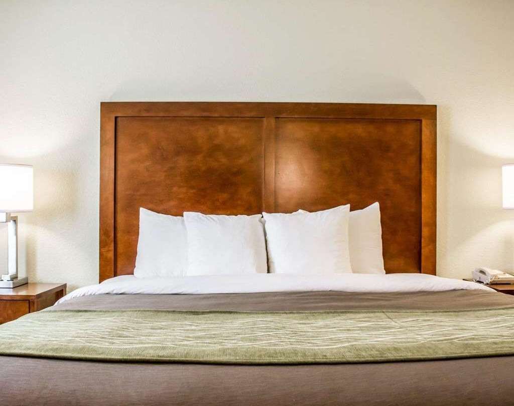 Comfort Inn Fort Myers Northeast主图