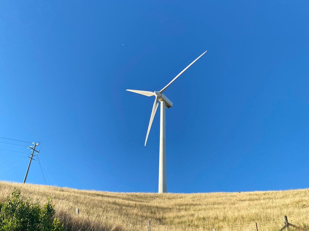 Toora Wind Farm-Toora必去景点