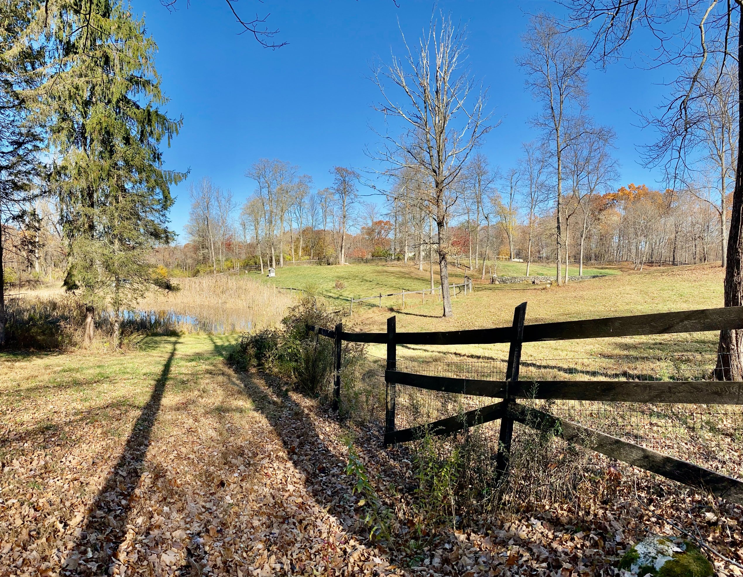 WhistleWood Farm Bed and Breakfast-家庭/游戏区