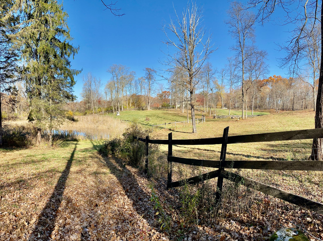 WhistleWood Farm Bed and Breakfast主图
