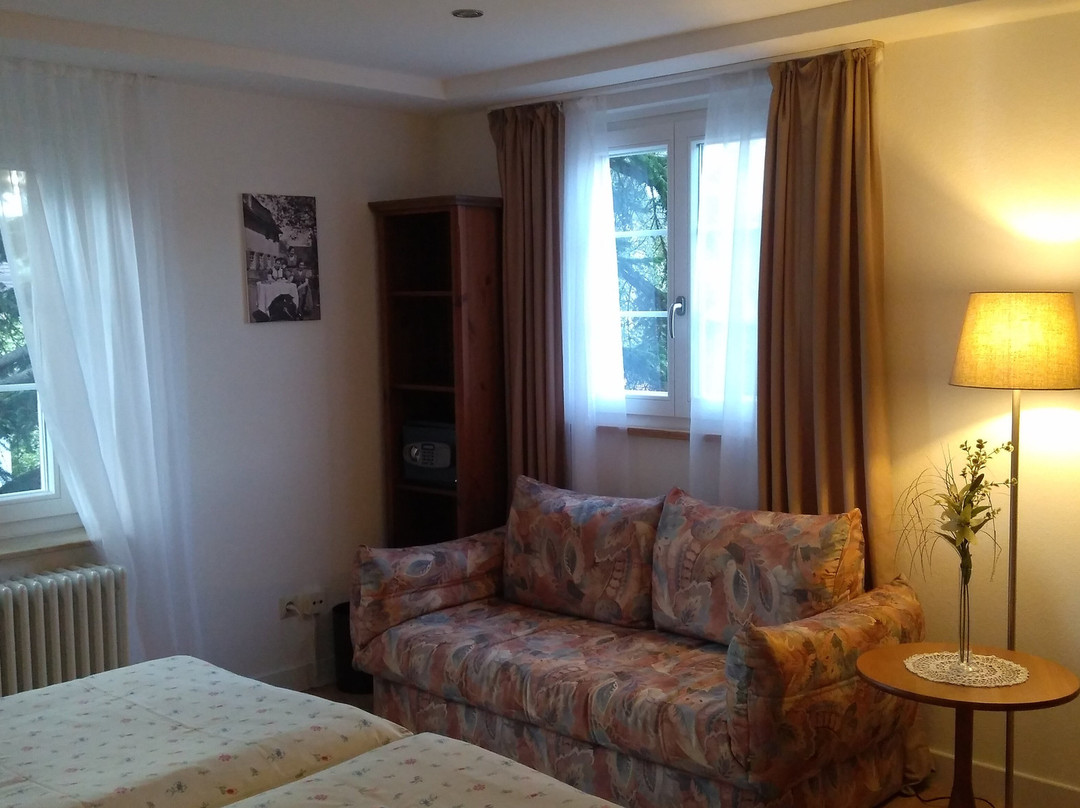 Boutique Hotel Krone主图