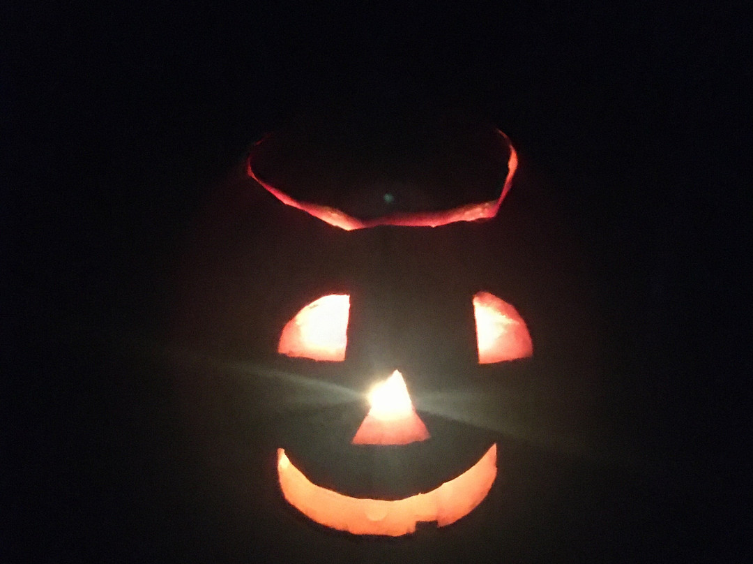 The Blue House Bed and Breakfast主图