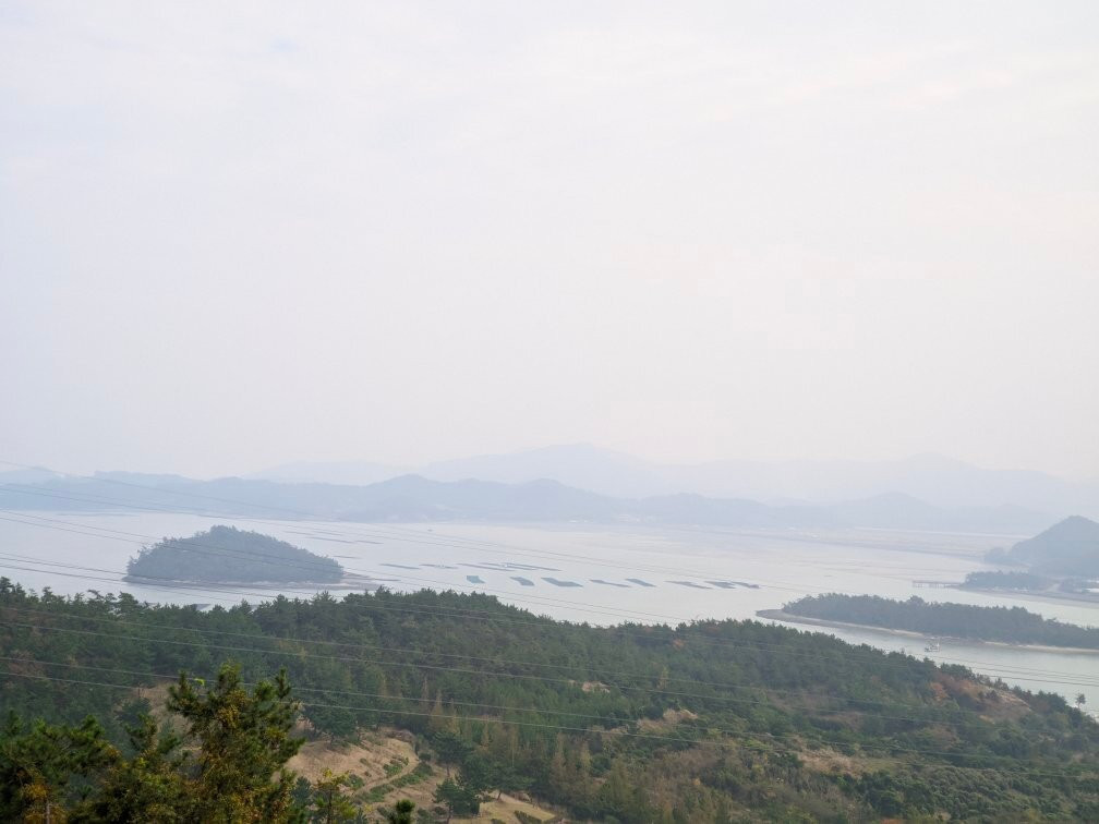 Jindo Tower-珍岛郡必去景点