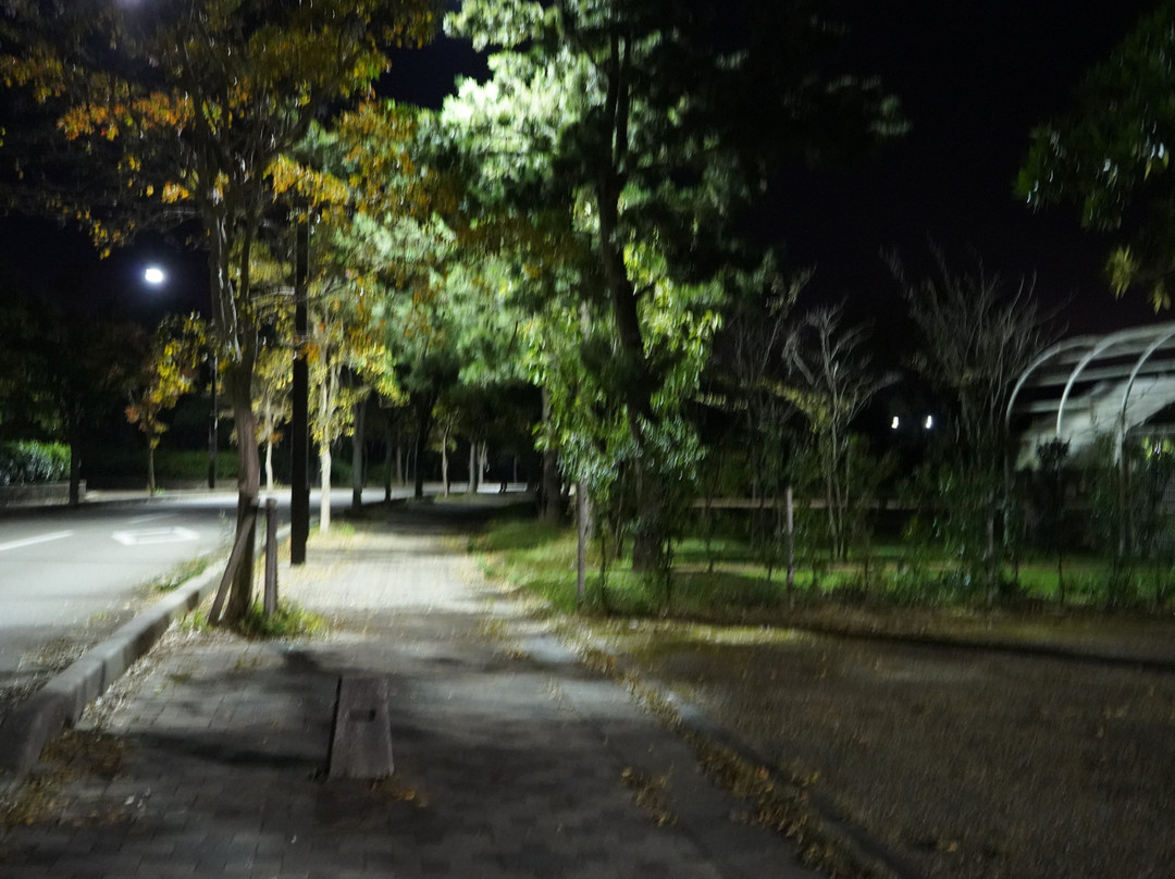 Fresh Line Mitsuke Park景点图片