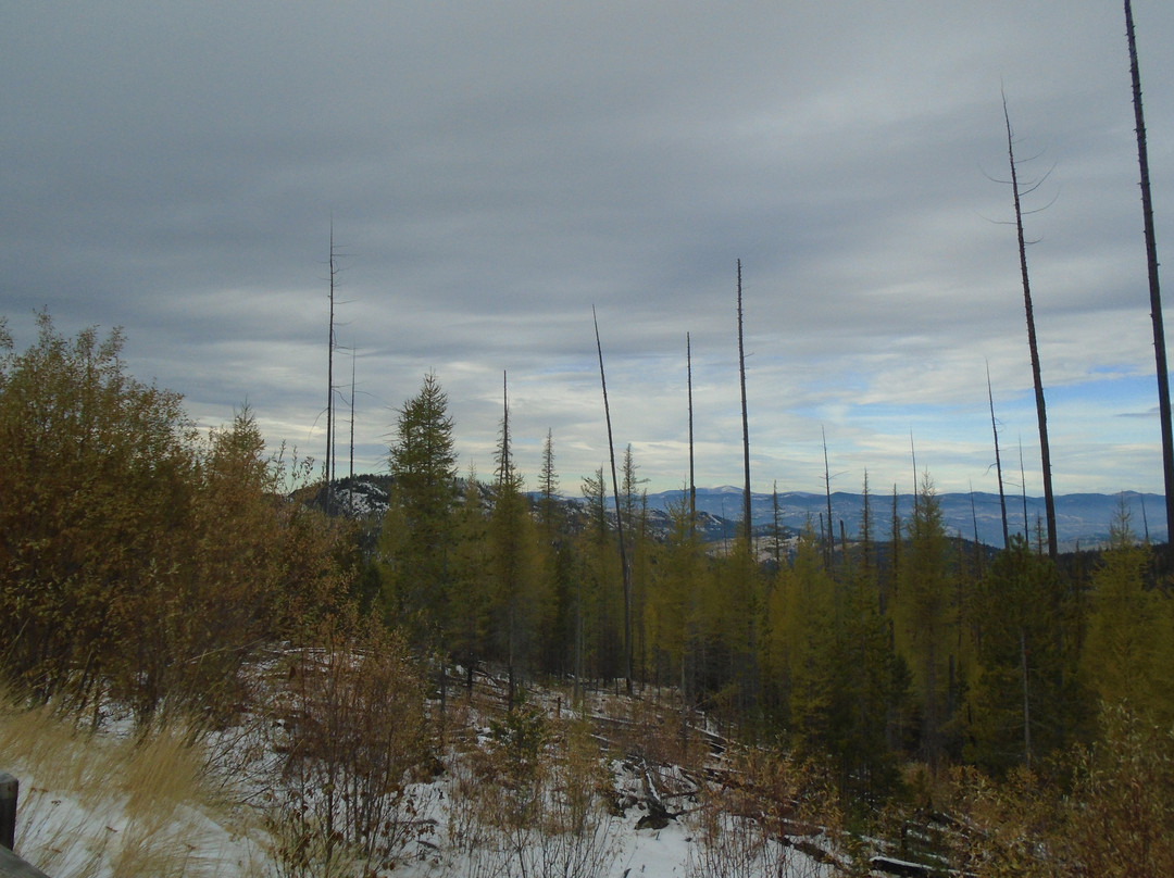 Colville National Forest景点图片