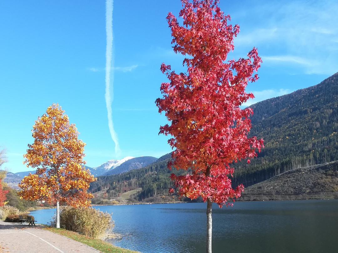 Lago della Serraia景点图片
